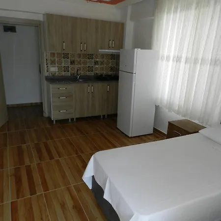 아파트 Chrysi Petra