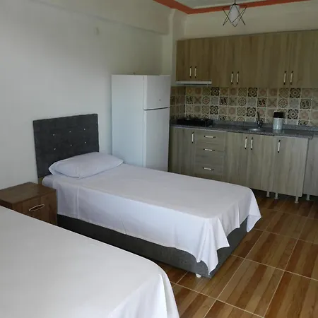 Chrysi Petra 아파트